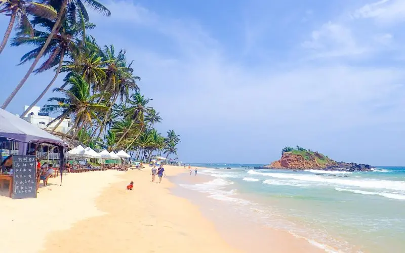 Mirissa Beach & Whale Watching