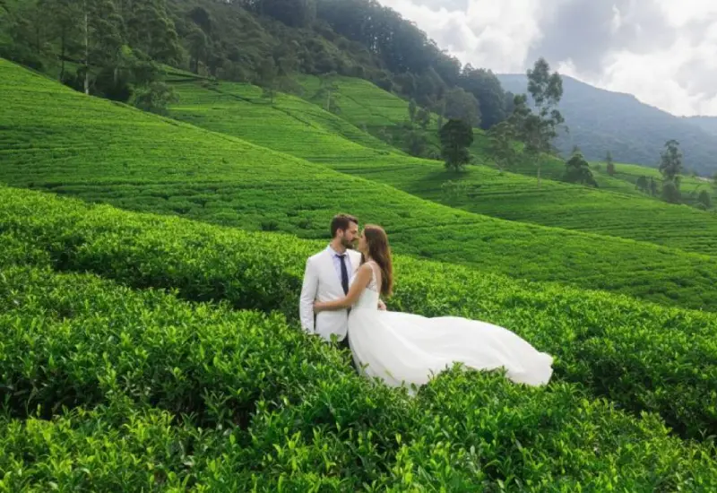 Nuwara Eliya Hillside Romance